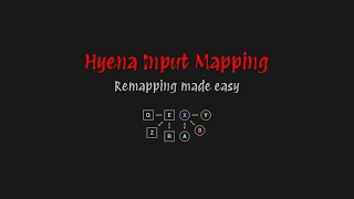 Hyena Input Mapping - Quick Overview