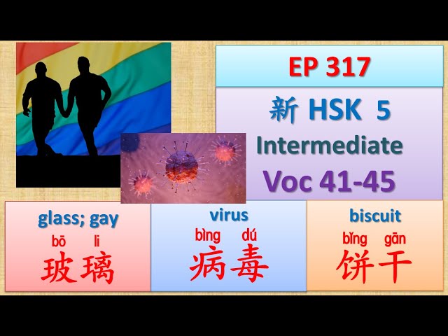 [EP 317] New HSK 5 Voc 41-45 (Intermediate): 宾馆、饼、饼干、病毒、玻璃 || 新汉语水平3.0中级词汇5 || Join My Daily Live