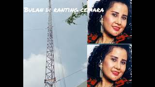 Download Lagu Bulan di ranting cemara Elvi s MP3