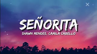 Shawn Mendes, Camila Cabello - Señorita (Lyrics)