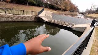 Sharing A Spot Andrew Brown Park Public Waters In Coppell TX It's Loaded With Crappies and Gills!