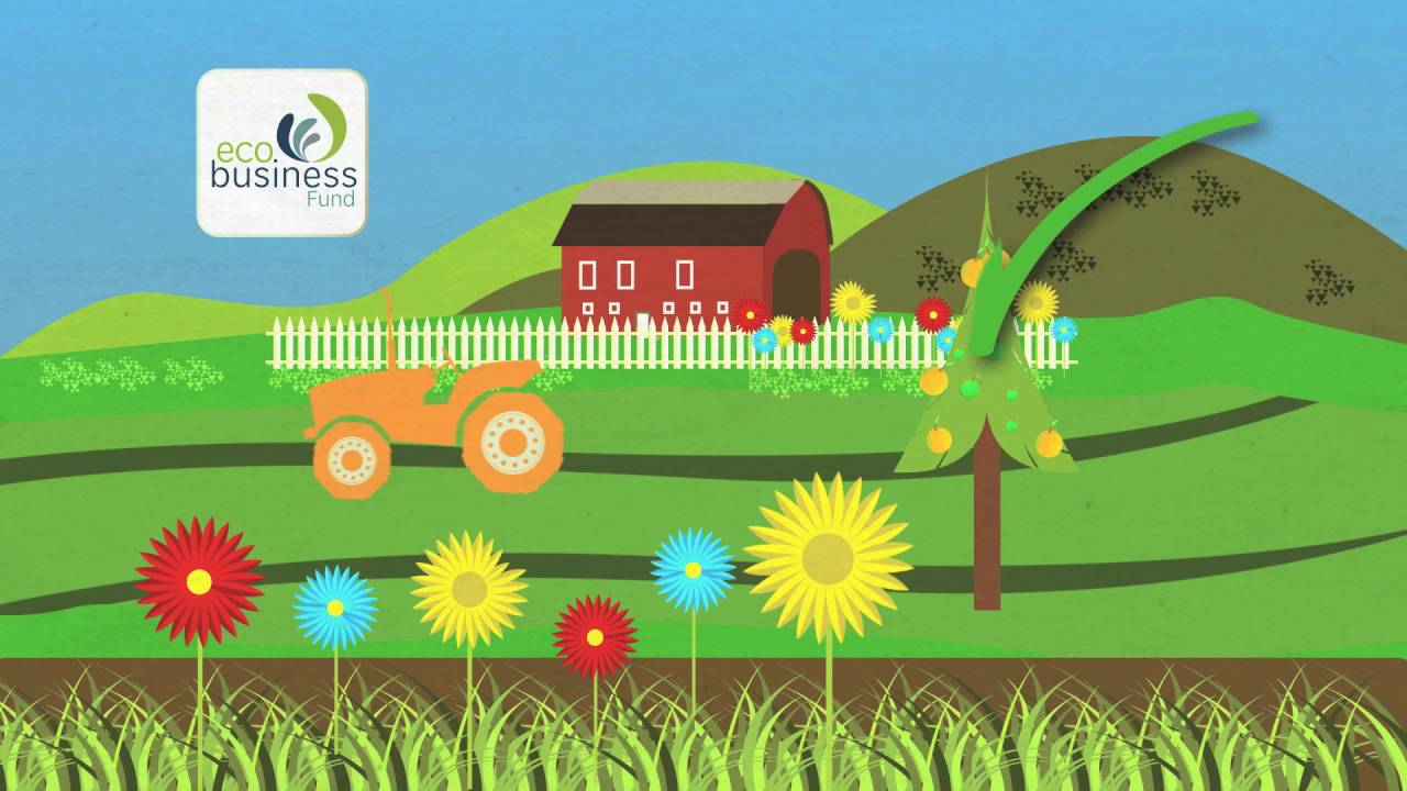 Eco business Fund English YouTube