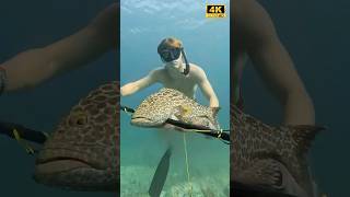 Deep Sea Spearfishing: The Ultimate Test of Skill in Crystal Clear Blue Waters #Spearfishing
