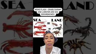 Leviticus 11:10 - And all that have not fins and scales in the seas, and in the rivers.