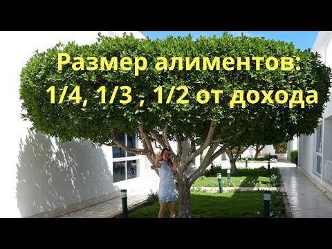 Алименты в процентах к доходу. Какой размер алиментов?