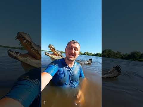 Анегдот про дипломат #юмор #Анегдот #СмешноеВидео