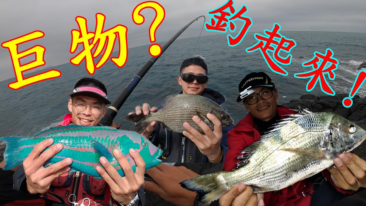 超爽啦！白毛！笠啊！沙格！樣樣有！花嶼本島釣起來！！！【澎湖花嶼】【澎湖磯釣】【大緯釣魚趣】【Part1】【矶】