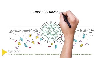 How Soil Affect the Ecosystem? | Simply Explainer | Video Animation