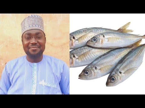 FASSARAR MAFARKIN KIFI DANYE DAFAF FE SOYYAYE 