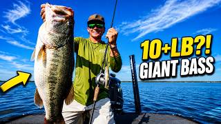 I Caught a MONSTER 10  LB Bass! (My Personal Best Ever!) 🎣