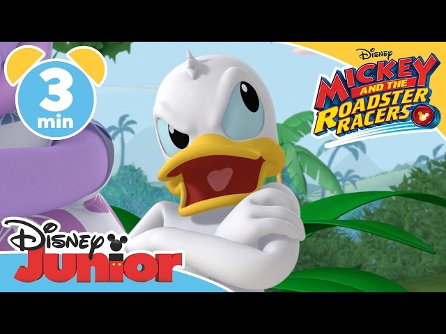 Mickey and the Roadster Racers | It's Wiki Wiki Time | Disney Junior UK class=