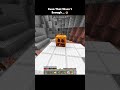 Even that wasn't enough... #minecraft #shorts