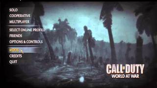 How to customize name on COD WAW
