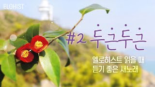 엘로히스트 읽을 때 듣기 좋은 새노래 #2