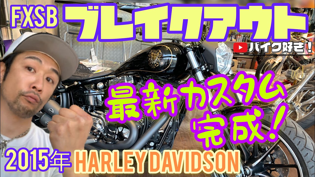 Custom Introduction] 2015 Harley-Davidson FXSB Breakout! We