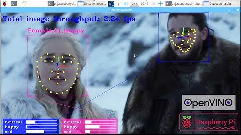 Raspberry pi openVINO Interactive Face Detection C++ Demo