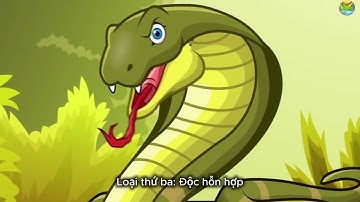 Điều gì xảy ra khi bị rắn độc cắn? 3 loại nọc độc cực nguy hiểm cần biết