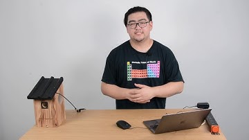 Live Broadcast the Bird Box Camera to YouTube