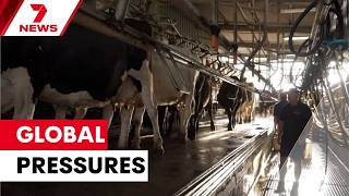 Norco Raises Milk Prices Amid War-Driven Costs 7News