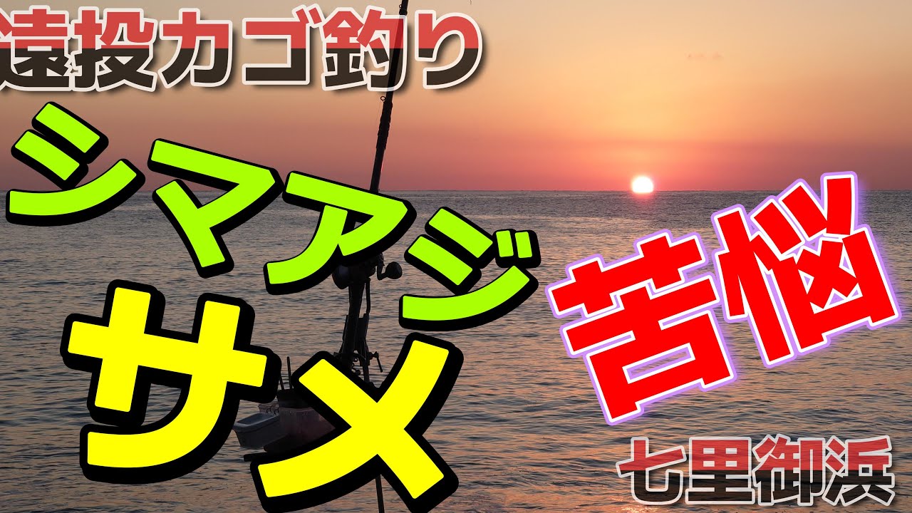 七里御浜で遠投カゴ釣り！　例年ならシマアジ・カツオが絶好調なこの時期。しかし今年はサメが大量接岸！サメの猛攻をかわしながらの釣行記です。