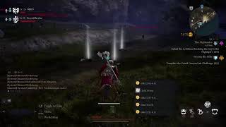 Bless unleashed new xp glitch he level 3 watch him go up