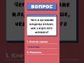 У кого чего больше, как думаете?