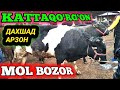 КАТТАКУРГОН МОЛ БОЗОРИ kattaqurgon mol bozori surhondaryo mol bozori qashqadaryo mol bozori