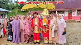 MANGALAP BORU KE SAWAH MUDIK..!! RANGKAIAN ADAT PESTA PERNIKAHAN ANAK KAMI