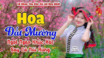 LK Nhạc Tây Bắc Hay Nhất 2024 . HOA ĐẤT MƯỜNG . Nhạc Vùng Cao Tây Bắc | Say Khúc Nhạc Đượm Tình