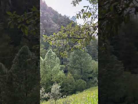 Arriba Chihuahua! 🤠 tendré suerte aun? #travelvlog #hiking #mexico #viralshorts #naturelovers