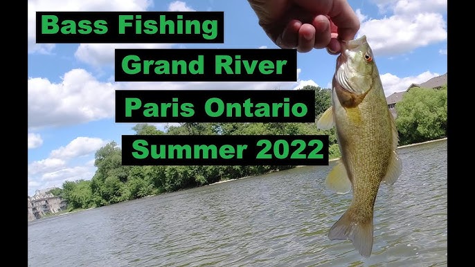 Fishing The Grand and Nith Rivers for Bass - Fall 2021 