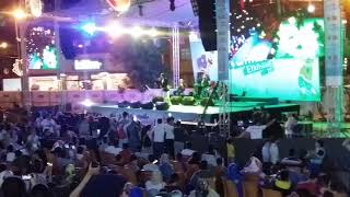 Eşref Zi̇ya Ağlama Karanfil