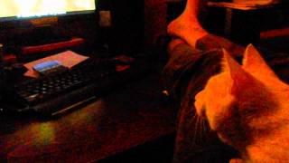 Cat loves movies by Bushkata Bu 14 views 9 years ago 1 minute, 13 seconds