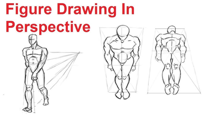 Using a Manikin for the Study of Anatomy - Drawing Fundamentals