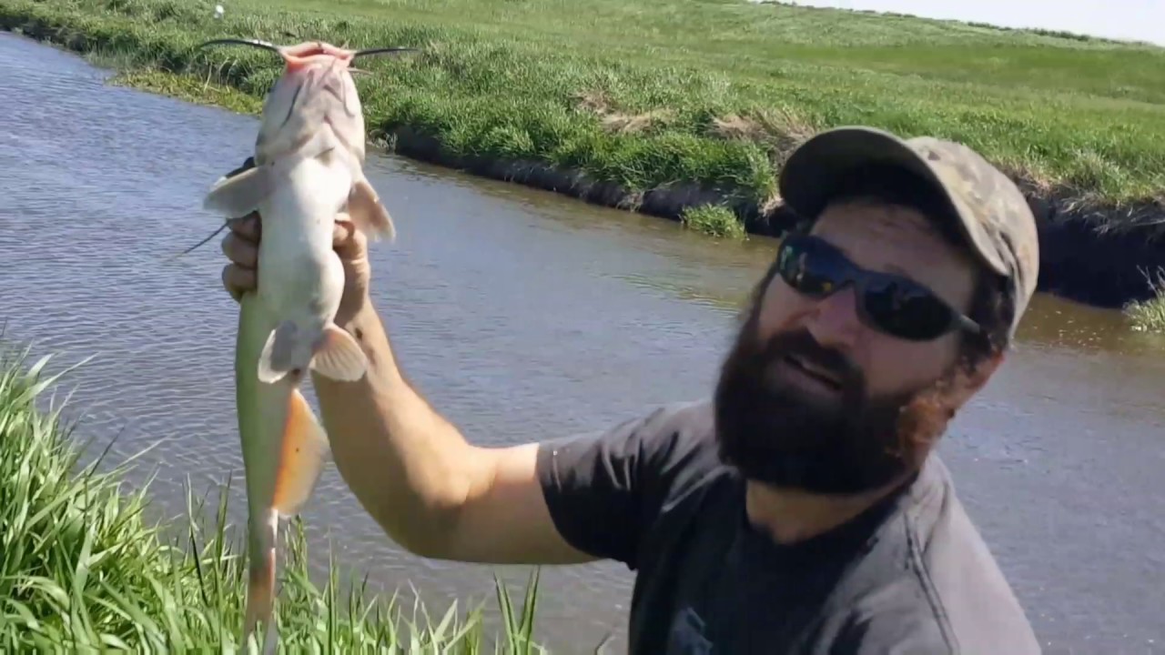 Carp and Catfishing. Fishing small streams. YouTube