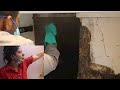 DEEMAK Destroyed Everything | Termite Pest Control | Ss vlogs :-)