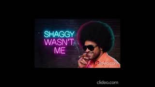 Download Lagu SHAGGY IT WASN'T ME (1950's Motown Soul Cover) LIVE VERSION IN DA CLUB #shaggy #wasntme MP3 Download Lagu SHAGGY IT WASN'T ME (1950's Motown Soul Cover) LIVE VERSION IN DA CLUB #shaggy #wasntme MP3