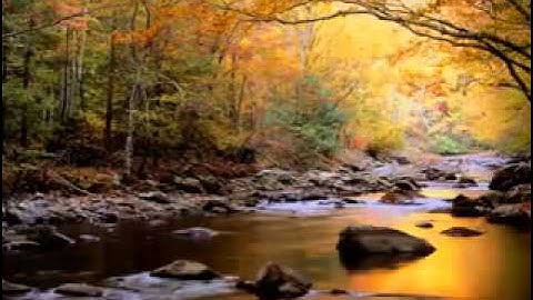 القارئ محمد الزهراني تلاوة من سورة الرعد