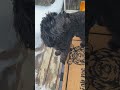 Adorable Find! #doodle #goldendoodle #outdoormat #frontdoormat #doglover