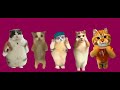 猫ミームでBling Bang Bang Born踊らせてみた#猫ミーム