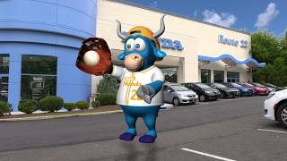 Honda Civic Route 22 Honda Kiss the Bull Goodbye