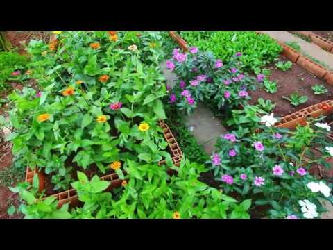 Mon Petit Jardin Youtube