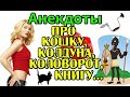 Смешные анекдоты. Короткие анекдоты. Шутки.