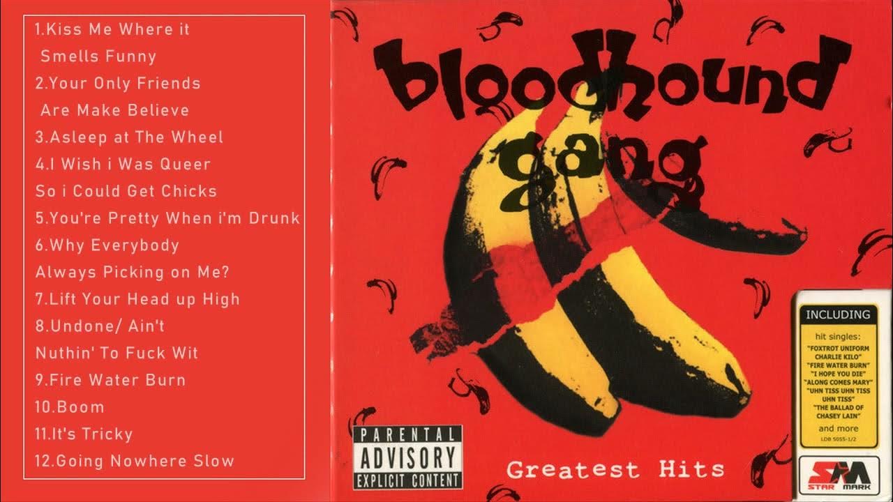 Bloodhound Gang Best SOngs Bloodhound Gang Greatest Hits Bloodhound Gang Full ALbum YouTube