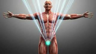 Prostate Healing Frequencies 432 Hz | Gentle Sound Therapy for Prostate Support