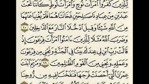 كيفيه تلاوة سورة التحريم بالتجويد من الايه (١٠_١٢) وشرح مبسط لأحكام التجويد