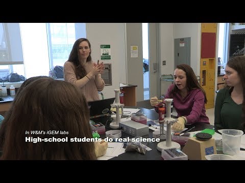 In W&M's iGEM labs: High school students do real science