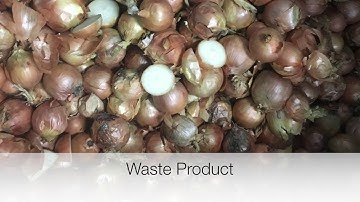 Food Automation presents Elisam 2 Lane Optical Onion Grader