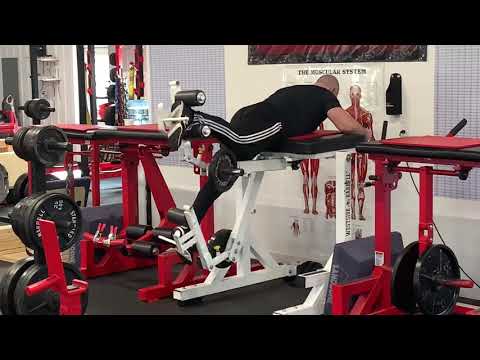 Reverse Hyper Single Leg Alternating Pad Flat