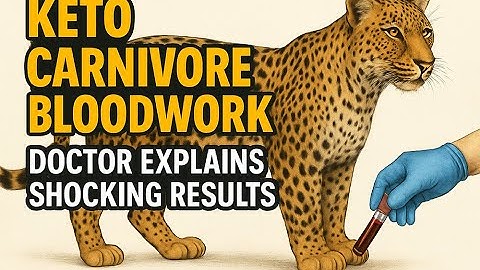 KETO CARNIVORE BLOODWORK: Doctor Explains Shocking Results